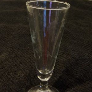 Vintage Princess House Pilsner Etched Glass